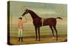 A Bay Racehorse with his Jockey on a Racecourse-Daniel Quigley-Stretched Canvas
