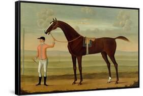 A Bay Racehorse with his Jockey on a Racecourse-Daniel Quigley-Framed Stretched Canvas