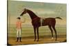 A Bay Racehorse with his Jockey on a Racecourse-Daniel Quigley-Stretched Canvas