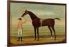 A Bay Racehorse with his Jockey on a Racecourse-Daniel Quigley-Framed Premium Giclee Print