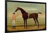 A Bay Racehorse with his Jockey on a Racecourse-Daniel Quigley-Framed Premium Giclee Print