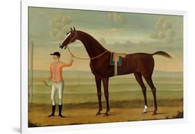 A Bay Racehorse with his Jockey on a Racecourse-Daniel Quigley-Framed Giclee Print