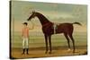 A Bay Racehorse with his Jockey on a Racecourse-Daniel Quigley-Stretched Canvas