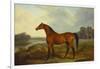 A Bay Stallion in a River Landscape-James Barenger-Framed Giclee Print