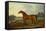 A Bay Stallion in a River Landscape-James Barenger-Framed Stretched Canvas