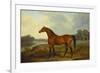 A Bay Stallion in a River Landscape-James Barenger-Framed Premium Giclee Print