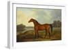 A Bay Stallion in a River Landscape-James Barenger-Framed Premium Giclee Print