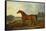 A Bay Stallion in a River Landscape-James Barenger-Framed Stretched Canvas