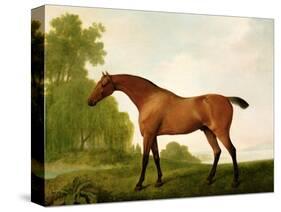 A Bay Thoroughbred in a Landscape, 1801-George Stubbs-Stretched Canvas