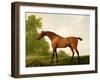 A Bay Thoroughbred in a Landscape, 1801-George Stubbs-Framed Giclee Print