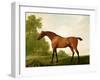 A Bay Thoroughbred in a Landscape, 1801-George Stubbs-Framed Giclee Print