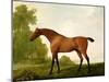 A Bay Thoroughbred in a Landscape, 1801-George Stubbs-Mounted Giclee Print
