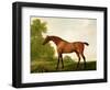 A Bay Thoroughbred in a Landscape, 1801-George Stubbs-Framed Giclee Print