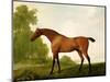 A Bay Thoroughbred in a Landscape, 1801-George Stubbs-Mounted Giclee Print