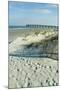 A beach in Florida-Natalie Tepper-Mounted Photo