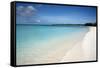 A Beach View at Half Moon Cay, with Golden Sands and Bright Blue Sea-Natalie Tepper-Framed Stretched Canvas