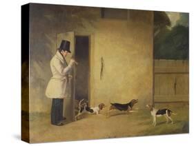 A Beagler Standing at the Door of the Kennels Calling Out the Beagles-William J. Pringle-Stretched Canvas