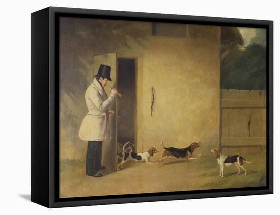 A Beagler Standing at the Door of the Kennels Calling Out the Beagles-William J. Pringle-Framed Stretched Canvas
