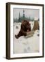 A 'Bear' Chance, 1907 (Oil on Canvas)-Philip Russell Goodwin-Framed Giclee Print