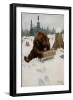 A 'Bear' Chance, 1907 (Oil on Canvas)-Philip Russell Goodwin-Framed Giclee Print