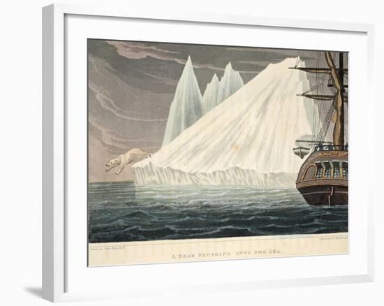 A Bear Plunging into the Sea, Illustration from 'A Voyage of Discovery...', 1819-John Ross-Framed Giclee Print