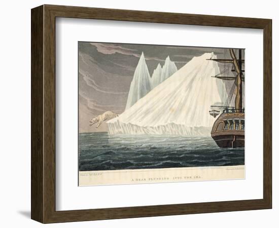 A Bear Plunging into the Sea, Illustration from 'A Voyage of Discovery...', 1819-John Ross-Framed Giclee Print