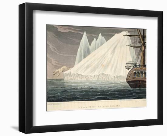 A Bear Plunging into the Sea, Illustration from 'A Voyage of Discovery...', 1819-John Ross-Framed Giclee Print