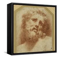 A Bearded Head, Looking Up (Possibly Laocoon)-Parmigianino-Framed Stretched Canvas