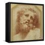 A Bearded Head, Looking Up (Possibly Laocoon)-Parmigianino-Framed Stretched Canvas