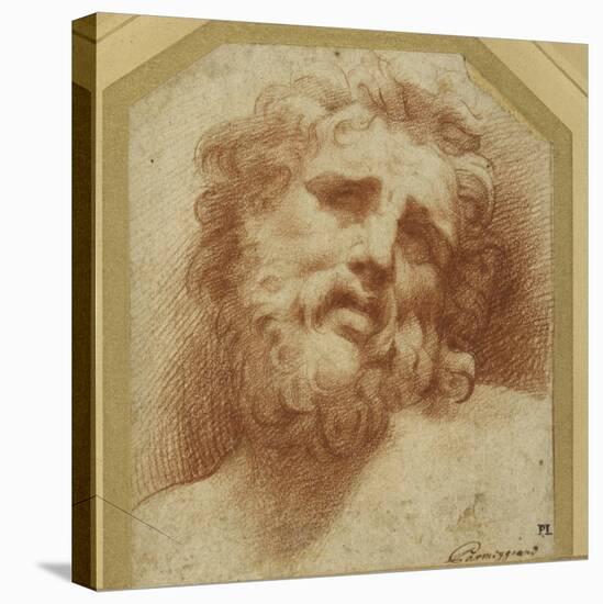 A Bearded Head, Looking Up (Possibly Laocoon)-Parmigianino-Stretched Canvas