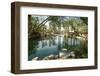 A Beautiful and Tranquil Man Made Pond on a Golf Course-mikeledray-Framed Photographic Print