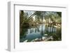 A Beautiful and Tranquil Man Made Pond on a Golf Course-mikeledray-Framed Photographic Print