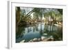 A Beautiful and Tranquil Man Made Pond on a Golf Course-mikeledray-Framed Photographic Print