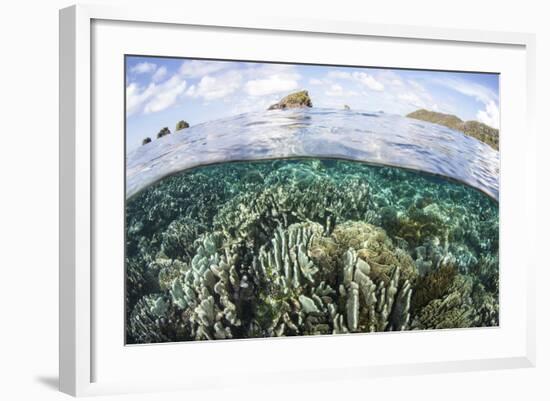 A Beautiful Coral Reef in Raja Ampat, Indonesia-Stocktrek Images-Framed Photographic Print