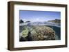 A Beautiful Coral Reef in Raja Ampat, Indonesia-Stocktrek Images-Framed Photographic Print