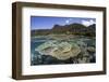 A Beautiful Coral Reef in Raja Ampat, Indonesia-Stocktrek Images-Framed Photographic Print