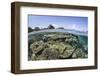 A Beautiful Coral Reef in Raja Ampat, Indonesia-Stocktrek Images-Framed Photographic Print