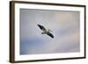 A Beautiful Day to Fly-Jai Johnson-Framed Giclee Print