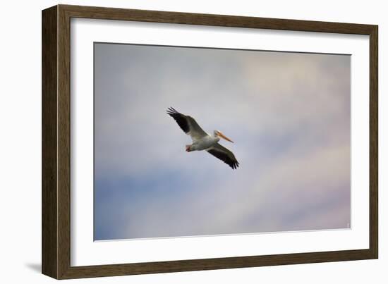 A Beautiful Day to Fly-Jai Johnson-Framed Giclee Print