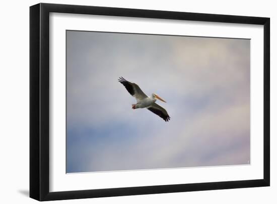 A Beautiful Day to Fly-Jai Johnson-Framed Giclee Print