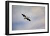 A Beautiful Day to Fly-Jai Johnson-Framed Giclee Print
