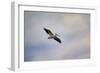 A Beautiful Day to Fly-Jai Johnson-Framed Giclee Print