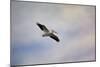 A Beautiful Day to Fly-Jai Johnson-Mounted Giclee Print