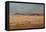A Beautiful Landscape in Namib-Naukluft National Park, Taken from the Top of Elim Dune-Alex Saberi-Framed Stretched Canvas