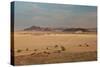 A Beautiful Landscape in Namib-Naukluft National Park, Taken from the Top of Elim Dune-Alex Saberi-Stretched Canvas