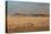 A Beautiful Landscape in Namib-Naukluft National Park, Taken from the Top of Elim Dune-Alex Saberi-Stretched Canvas