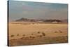 A Beautiful Landscape in Namib-Naukluft National Park, Taken from the Top of Elim Dune-Alex Saberi-Stretched Canvas