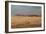 A Beautiful Landscape in Namib-Naukluft National Park, Taken from the Top of Elim Dune-Alex Saberi-Framed Photographic Print