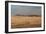 A Beautiful Landscape in Namib-Naukluft National Park, Taken from the Top of Elim Dune-Alex Saberi-Framed Photographic Print