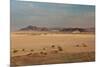 A Beautiful Landscape in Namib-Naukluft National Park, Taken from the Top of Elim Dune-Alex Saberi-Mounted Photographic Print